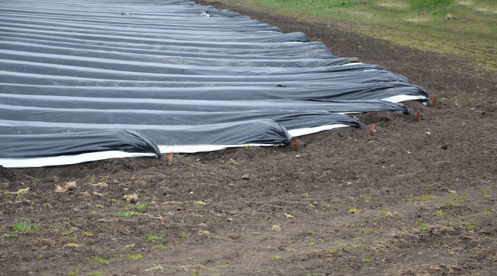 Bâche de couverture pour fosse à lisier