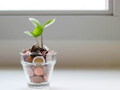 investissement scpi