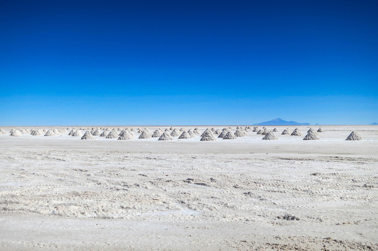 ruée mondiale vers lithium